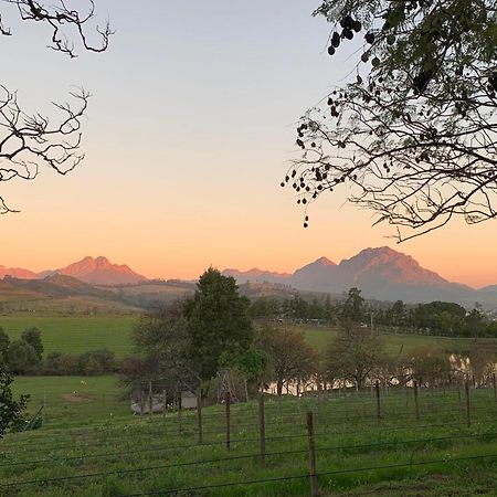 Wildlife Retreat On A Wine-Farm Villa Stellenbosch Buitenkant foto