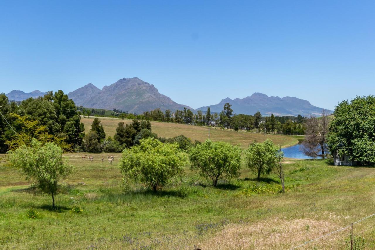 Wildlife Retreat On A Wine-Farm Villa Stellenbosch Buitenkant foto